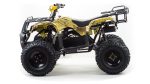 Квадроцикл MOTOLAND 150 Maverick — изображение 2
