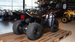 Квадроцикл СТЕЛС ATV 110A HUGO — изображение 4