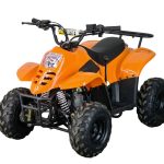 Квадроцикл STALKER 110