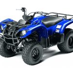 Квадроцикл GRIZZLY 125
