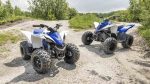 Квадроцикл YAMAHA YFM90R (Raptor 90) — изображение 5