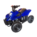 Квадроцикл RAPTOR 110