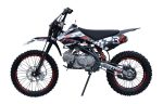 Мотоцикл REGULMOTO Seven Medalist 19/16 PITBIKE — изображение 4