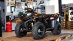 Квадроцикл СТЕЛС ATV 110A HUGO — изображение 3