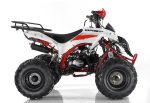 Квадроцикл MOTAX ATV Raptor Super LUX 125 cc — изображение 7