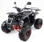 Квадроцикл MOTAX ATV Grizlik-8 125 — изображение 4