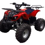 Квадроцикл MOTAX ATV A-54