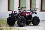Квадроцикл UNIVERSAL Avenger JR 150 — изображение 4