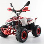 Квадроцикл MOTAX Mikro 110 New