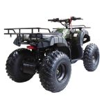 Квадроцикл WELS ATV Thunder 150 — изображение 4
