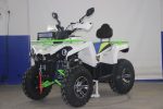 Квадроцикл AVANTIS Forester 200 — изображение 2