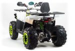 Квадроцикл MOTOLAND ATV 200 Wild Track — изображение 2