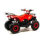 Квадроцикл MOTOLAND 50 Scorpion (2021 Г.) — изображение 4