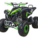 Квадроцикл YACOTA Renegade