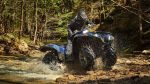 Квадроцикл YAMAHA Grizzly 700 EPS STD (ПСМ) — изображение 6