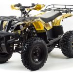 Квадроцикл MOTOLAND 150 Maverick