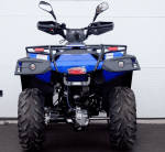 Квадроцикл LINHAI-YAMAHA D200 — изображение 4