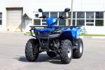 Квадроцикл IRBIS ATV 200U — изображение 8