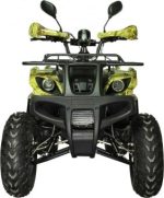 Квадроцикл AVANTIS Hunter 200 Lite — изображение 6