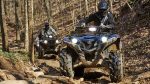 Квадроцикл YAMAHA Grizzly 700 EPS STD (ПСМ) — изображение 5