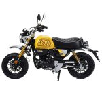 Мотоцикл MOTOLAND Monkey 150 PITBIKE — изображение 2