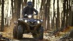 Квадроцикл YAMAHA Grizzly 700 EPS STD (ПСМ) — изображение 3