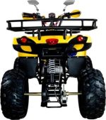 Квадроцикл AVANTIS Patriot M — изображение 3