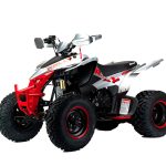 Квадроцикл MOTOLAND RALLY 250