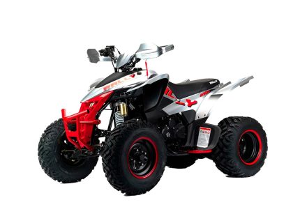 Квадроцикл MOTOLAND RALLY 250