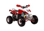 Квадроцикл IRBIS ATV250S — изображение 2