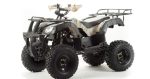 Квадроцикл HAMMER Hunter 300