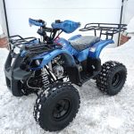 Квадроцикл MOTOLAND 125 Fox A — изображение 3