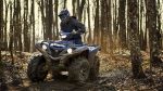 Квадроцикл YAMAHA Grizzly 700 EPS STD (ПСМ) — изображение 4