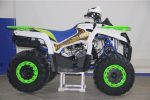 Квадроцикл AVANTIS Forester 200 Premium — изображение 6