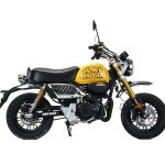 Мотоцикл MOTOLAND Monkey 150 PITBIKE