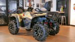 Квадроцикл LONCIN Xwolf 700 MUD L (ПСМ) — изображение 6