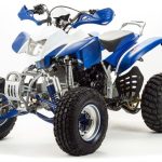 Квадроцикл MOTOLAND 250 Dakar