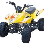 Квадроцикл KAYO Beagle YCF110