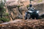 Квадроцикл KAWASAKI Brute Force 750 EPS (2024) (ПСМ) — изображение 10