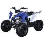 Квадроцикл ABM Scorpion 125M