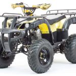 Квадроцикл MOTOLAND 250 Adventure (2021 Г.)