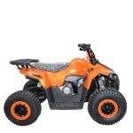 Квадроцикл ATV Giro — изображение 3