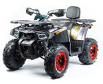 Квадроцикл MOTOLAND 200 Wild Track X Pro (2022) — изображение 2