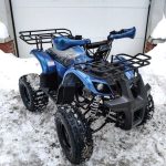 Квадроцикл MOTOLAND 125 Fox A — изображение 4