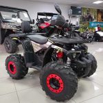 Квадроцикл ZONGSHEN Junior Sport 125 Premium — изображение 2