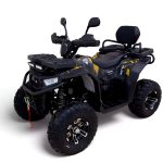 Квадроцикл MOTAX Grizlik W200 LUX
