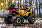 Квадроцикл WELS Thunder Trail 125 PRO — изображение 6