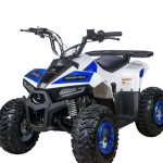 Квадроцикл YACOTA Raposa Pro Sport