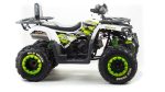 Квадроцикл MOTOLAND ATV 200 Wild Track — изображение 3