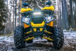 Квадроцикл WELS Thunder Trail 125 PRO — изображение 5